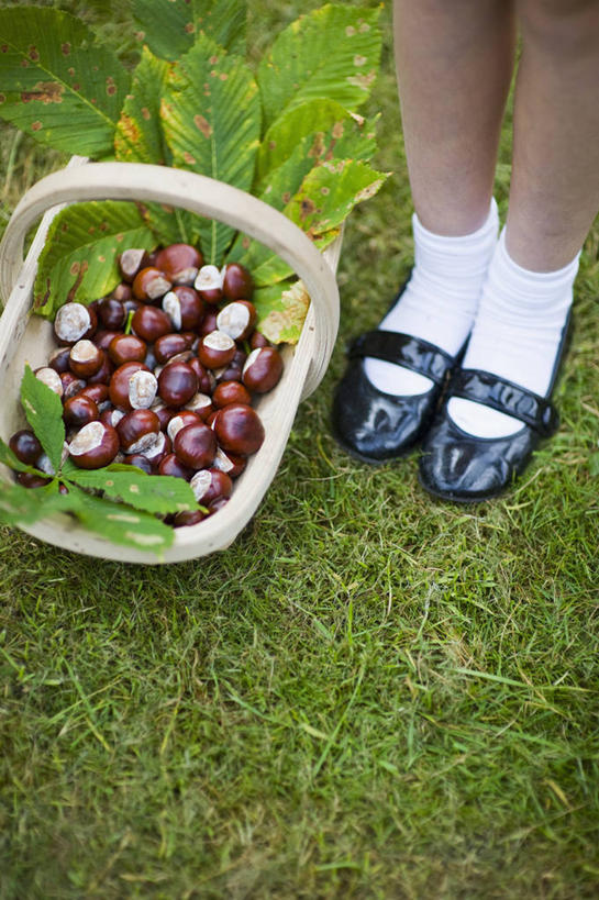 西方人,儿童,一个人,站,竖图,俯视,室外,白天,留白,正面,纯洁,草坪,美景,植物,鞋子,欧洲,欧洲人,仅一个女性,仅一个人,种植,朦胧,模糊,木制,景观,园艺,褐色,种子,设备,袜子,物品,草,小孩,黑色,自然,仅一个小孩,景色,可爱,童年,童趣,摄影,生活方式,自然风光,选择,足,童真,烂漫,无邪,七叶树,娑罗树,天真,女孩,女人,女性,白种人,孩子,秋天,彩图,高角度拍摄,女生,对焦,板栗游戏