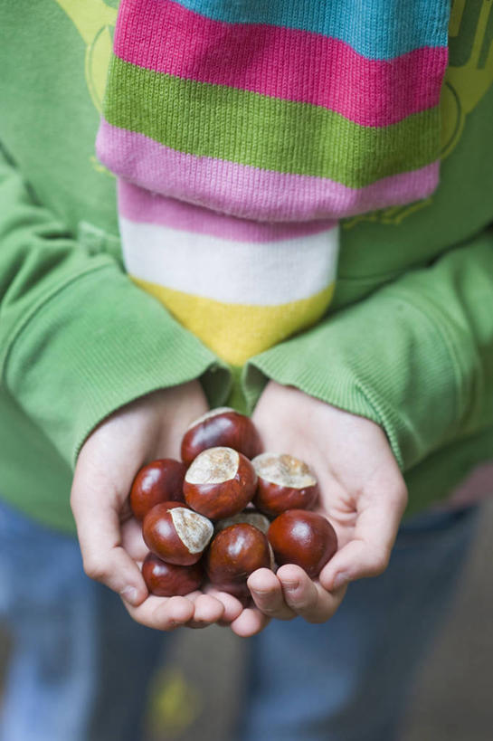 西方人,儿童,手,一个人,竖图,彩色,室外,特写,白天,留白,正面,纯洁,美景,欧洲,欧洲人,仅一个女性,仅一个人,一把,条纹,朦胧,模糊,景观,褐色,种子,拿着,小孩,自然,围巾,仅一个小孩,景色,可爱,童年,童趣,人体,摄影,生活方式,五颜六色,色彩斑斓,自然风光,五彩缤纷,童真,烂漫,无邪,七叶树,五彩斑斓,娑罗树,式样,五光十色,天真,女孩,女人,女性,白种人,孩子,秋天,捧着,彩图,女生,对焦,板栗游戏