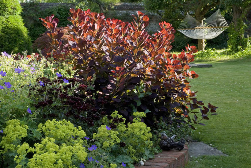 无人,横图,室外,白天,草坪,美景,植物,吊床,家具,叶子,英国,花坛,庭院,景观,英格兰,草,花,黄色,红色,绿色,自然,花束,夏天,景色,摄影,多样,灌木,自然风光,汉普郡,彩图,斗蓬草,多年生植物