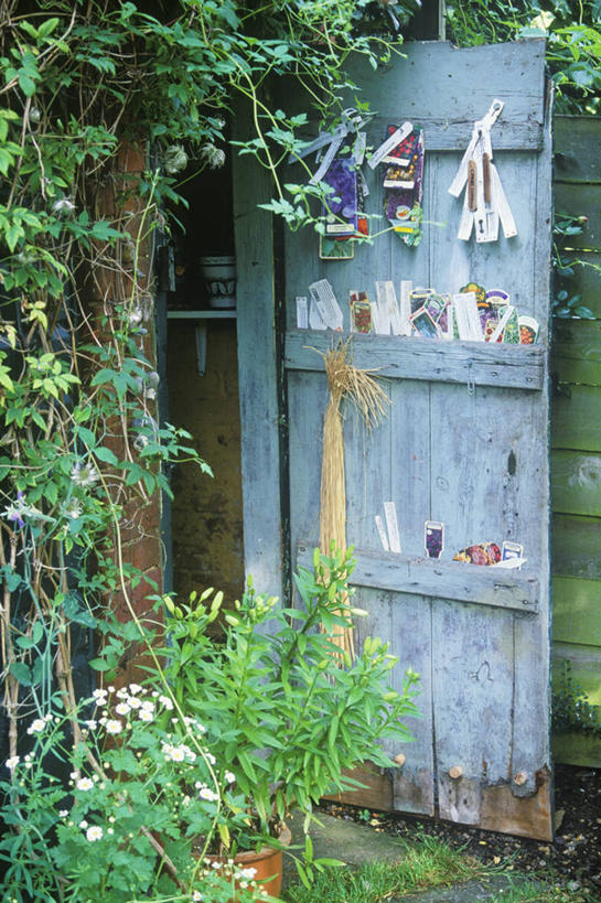 无人,商店,攀登,竖图,室外,白天,美景,植物,门,百合花,叶子,堆积,木制,标签,木材,景观,园艺,设备,物品,棚,蓝色,自然,容器,箱子,夏天,工具箱,景色,摄影,灌木,储藏,风化,储存,自然风光,风蚀,石化,风蚀地貌,岩石层,岩石,彩图,贮存,酒椰