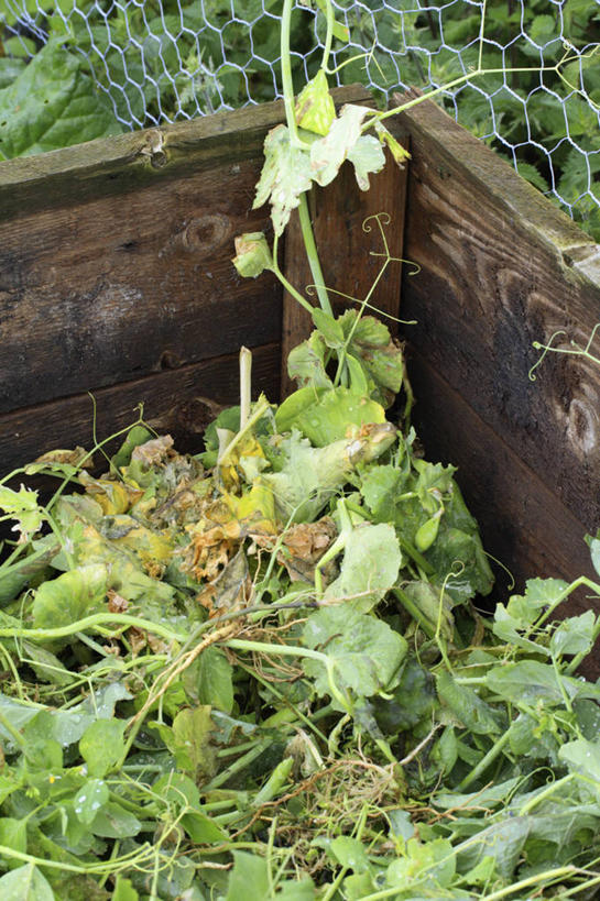 无人,竖图,室外,特写,白天,留白,植物,叶子,英国,环保,木制,木材,泥土,园艺,垃圾桶,铁丝网,设备,英格兰,物品,绿色,摄影,有机食品,能源,堆,环境,回收,资源,利用,低碳,循环,循环利用,持续,彩图,堆肥,回收桶