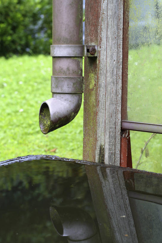 无人,竖图,室外,特写,白天,留白,水,雨,英国,园艺,温室,设备,英格兰,物品,摄影,排水沟,环境,循环利用,收集,彩图,对焦