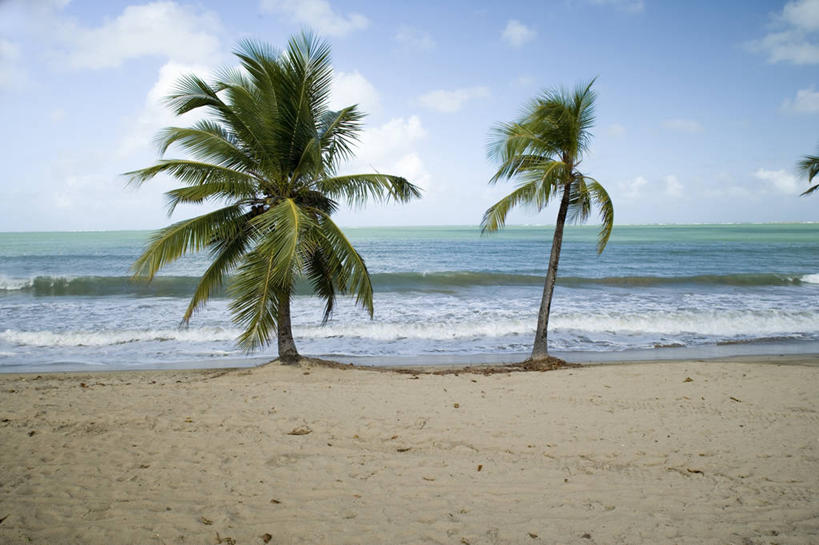 无人,横图,室外,白天,海浪,海洋,水,植物,棕榈树,加勒比海,美国,沙子,地平线,水平线,云,首都,图像,树,风景,天空,自然,概念,大西洋,摄影,宁静,北美,西印度群岛,拉丁美洲,主题,美洲,自然现象,圣胡安,波多黎各,构图,海滩,彩图,旅行,时空