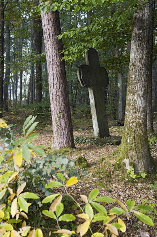 无人,竖图,室外,白天,正面,旅游,度假,草地,草坪,美景,树林,植物,道路,路,法国,欧洲,阴影,光线,影子,景观,小路,交通,娱乐,草,树,树木,绿色,阳光,自然,享受,休闲,景色,放松,生长,成长,布列塔尼,西欧,法兰西,自然风光,法兰西共和国,法兰西第五共和国,布列塔尼地区,伊勒.维莱讷省,彩图,雷恩区,潘蓬