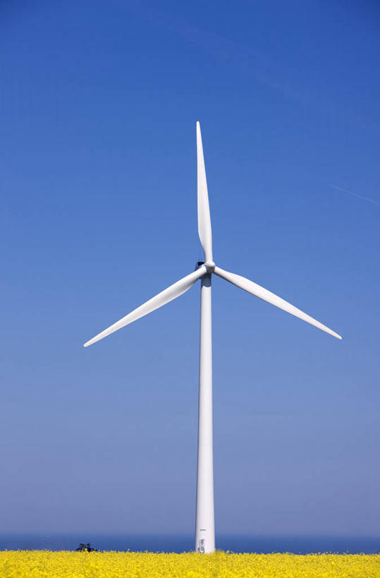 无人,竖图,室外,白天,正面,旅游,度假,农业,风能,风力发电机,海浪,海洋,花海,花圃,美景,植物,风车,叶子,法国,欧洲,一座,阴影,环保,盛开,电力,光线,影子,景观,浪花,花蕾,娱乐,设备,花,花瓣,花朵,花卉,鲜花,黄色,蓝色,绿色,蓝天,天空,阳光,自然,海水,花丛,花束,花田,天,花苞,花蕊,享受,休闲,发电,机械,景色,放松,工业,能源,晴朗,资源,风力机,西欧,法兰西,自然风光,海景,利用,低碳,万里无云,法兰西共和国,法兰西第五共和国,上诺曼底,上诺曼底大区,滨海塞纳省,费康,风力发电,风力涡轮机,大海,风浪,海,海水的波动,近岸浪,涌浪,晴空,晴空万里,彩图