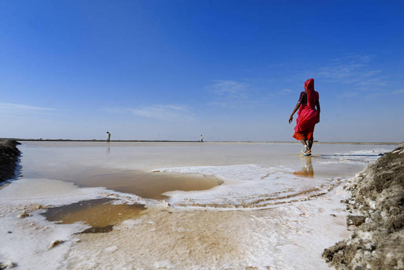一个人,站,横图,室外,白天,民族服装,海浪,海洋,沙滩,印度,亚洲,仅一个年轻女性,仅一个女性,仅一个人,阴影,光线,沙子,头巾,影子,海岸,浪花,云,云朵,沙地,云彩,光脚,背面,红色,蓝色,白云,蓝天,天空,阳光,海水,天,站着,赤脚,晴朗,南亚,海景,印度共和国,古吉拉特,古吉拉特邦,年轻女性,女人,女性,亚洲人,印度人,大海,风浪,海,海水的波动,海滩,近岸浪,涌浪,晴空,站立,彩图,全身,传统服装,民俗服,喀奇县
