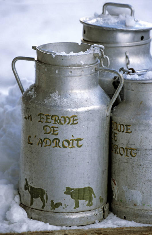 无人,竖图,室外,特写,白天,正面,牛,金属制品,阴影,花纹,光线,金属,英文,标志,文字,影子,字符,字母,乳牛,标识,阳光,动物,瓶子,容器,家畜,牲畜,储藏,英文字母,储存,斑纹,奶牛,彩图,全身,贮存