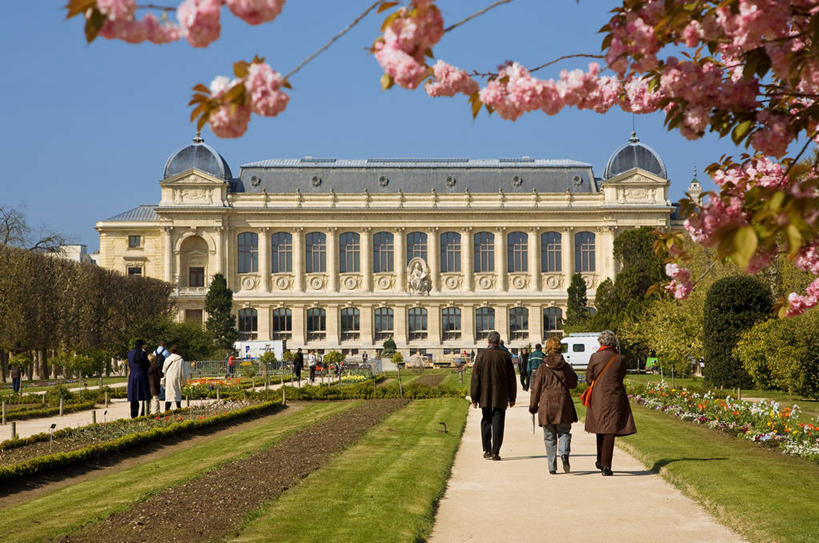 西方人,博物馆,走,横图,室外,白天,正面,旅游,度假,草地,草坪,名胜古迹,植物,标志建筑,道路,地标,建筑,路,法国,巴黎,欧洲,欧洲人,行人,游客,游人,阴影,服装,研究,遗迹,盛开,光线,影子,小路,交通,首都,许多人,教育,花蕾,休闲装,古迹,文物,娱乐,建设,古建筑,路人,旅客,草,花,花瓣,花朵,鲜花,树,树木,衣服,粉色,蓝色,绿色,蓝天,天空,阳光,自然,天,花苞,花蕊,一群人,享受,休闲,休闲服,旅游胜地,放松,服饰,生长,晴朗,成长,展览,西欧,欣赏,法兰西,陈列,古文明,万里无云,法兰西共和国,法兰西第五共和国,法兰西岛,法兰西岛大区,典藏,过客,拉丁区,男人,男性,年轻男性,年轻女性,女人,女性,白种人,晴空,晴空万里,步行,散步,走路,彩图,全身,巴黎省,巴黎市