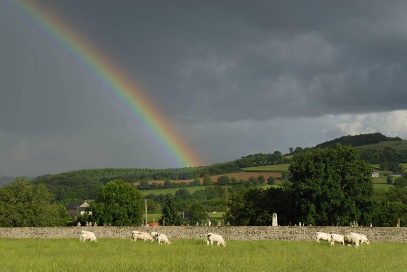 无人,农场,站,横图,室外,白天,正面,旅游,度假,畜牧业,牧场,彩虹,草地,草坪,美景,树林,植物,牛,法国,欧洲,一群,许多,景观,乌云,云,阴天,云朵,很多,云彩,娱乐,草,树,树木,绿色,天空,自然,动物,天,站着,享受,休闲,家畜,景色,放松,牲畜,生长,成长,昏暗,阴沉,勃艮第,西欧,法兰西,自然风光,畜牧,法兰西共和国,牧业,法兰西第五共和国,勃艮第大区,涅夫勒省,虹,虹桥,七彩虹,天虹,站立,彩图,全身