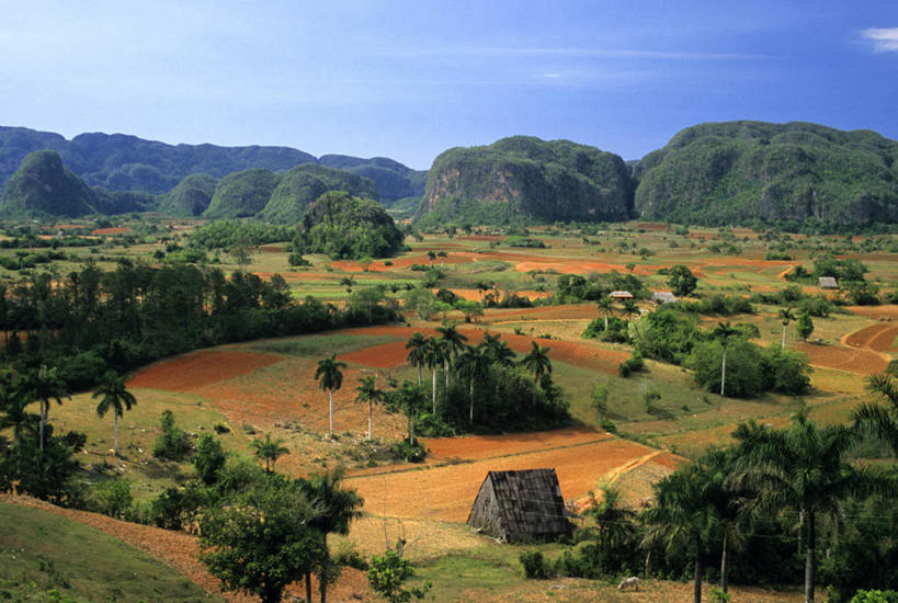 无人,家,横图,俯视,航拍,室外,白天,旅游,度假,草地,草坪,美景,森林,树林,植物,古巴,阴影,光线,影子,房屋,屋子,景观,云,云朵,云彩,娱乐,楼房,住宅,草,树,树木,蓝色,绿色,白云,蓝天,天空,阳光,自然,天,享受,休闲,景色,放松,生长,晴朗,成长,北美,北美洲,鸟瞰,自然风光,美洲,北亚美利加洲,亚美利加洲,古巴共和国,比那德里奥,比那德里奥省,比尼亚莱斯山谷,晴空,彩图,高角度拍摄,房子