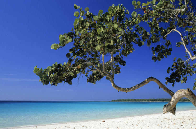 无人,横图,室外,白天,正面,旅游,度假,海浪,海洋,美景,沙滩,植物,古巴,阴影,光线,沙子,影子,海岸,景观,浪花,水平线,云,云朵,辽阔,枝条,海平线,沙地,首都,云彩,娱乐,树,树木,树枝,蓝色,绿色,白云,蓝天,天空,阳光,自然,海水,天,享受,休闲,广阔,景色,放松,生长,晴朗,成长,一望无际,北美,北美洲,自然风光,美洲,海景,哈瓦那,北亚美利加洲,亚美利加洲,古巴共和国,无边无际,一马平川,虬枝,枝杈,大海,风浪,海,海水的波动,海滩,近岸浪,涌浪,晴空,彩图,哈瓦那市,夏湾拿,水天相接,水天一线,瓦拉德罗