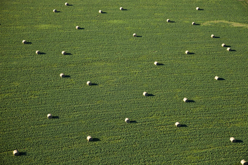 无人,横图,俯视,航拍,室外,白天,旅游,度假,草地,草坪,美景,植物,法国,欧洲,许多,阴影,光线,影子,景观,干草,很多,娱乐,草,绿色,阳光,自然,草垛,享受,休闲,景色,放松,西欧,鸟瞰,法兰西,自然风光,法兰西共和国,法兰西第五共和国,奥弗涅,奥弗涅大区,干草垛,多姆山,彩图,高角度拍摄