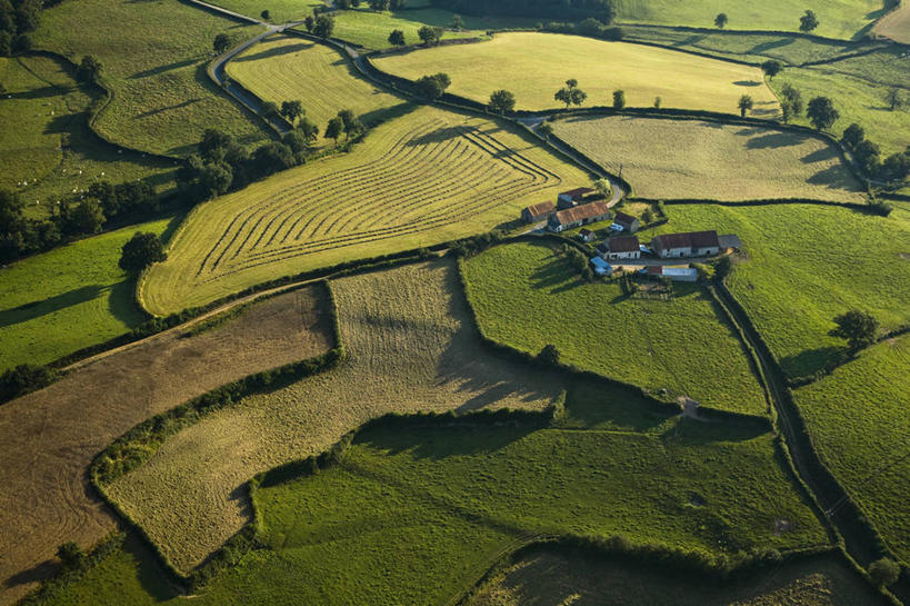 无人,家,横图,俯视,航拍,室外,白天,旅游,度假,草地,草坪,美景,树林,植物,法国,欧洲,阴影,光线,影子,房屋,屋子,景观,娱乐,楼房,住宅,草,树,树木,绿色,阳光,自然,享受,休闲,景色,放松,生长,成长,勃艮第,西欧,鸟瞰,法兰西,自然风光,法兰西共和国,法兰西第五共和国,勃艮第大区,索恩.卢瓦尔省,彩图,高角度拍摄,房子