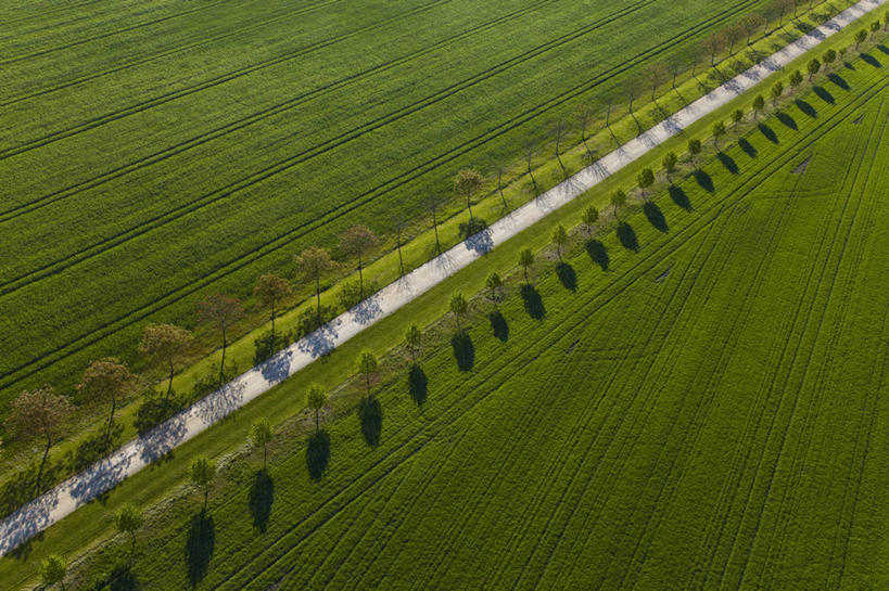 无人,农田,横图,俯视,航拍,室外,白天,旅游,度假,庄稼,农作物,美景,植物,道路,路,公路,法国,欧洲,一排,阴影,整齐,并列,并排,光线,影子,景观,交通,娱乐,树,树木,排列,绿色,阳光,自然,享受,休闲,景色,放松,生长,成长,西欧,鸟瞰,队列,法兰西,自然风光,平行,法兰西共和国,法兰西第五共和国,卢瓦尔.谢尔省,中央大区,马路,彩图,高角度拍摄,耕地,庄稼田,瑟勒泰,布卢瓦区