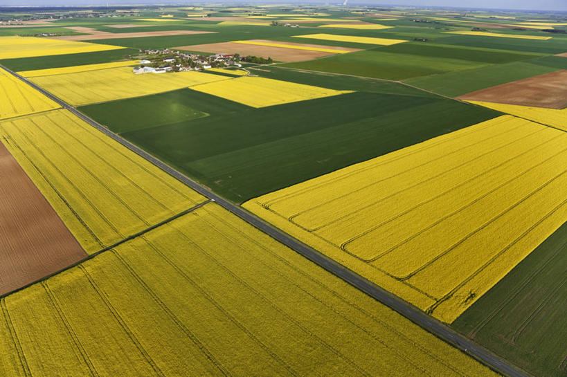 无人,农田,横图,俯视,航拍,室外,白天,旅游,度假,庄稼,农作物,花海,花圃,美景,植物,叶子,法国,欧洲,阴影,盛开,光线,影子,景观,花蕾,娱乐,花,花瓣,花朵,花卉,鲜花,树,树木,黄色,绿色,阳光,自然,花丛,花束,花田,花苞,花蕊,油菜花,享受,休闲,景色,放松,生长,成长,西欧,鸟瞰,法兰西,自然风光,法兰西共和国,法兰西第五共和国,卢瓦尔.谢尔省,中央大区,彩图,高角度拍摄,耕地,庄稼田,油菜花田,芸苔,芸薹,乌屈埃,布卢瓦区
