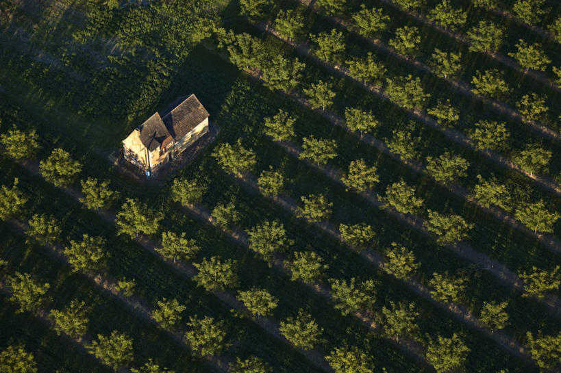 无人,家,果园,横图,俯视,航拍,室外,白天,旅游,度假,美景,森林,树林,田园,植物,法国,欧洲,阴影,光线,影子,房屋,屋子,景观,果树,娱乐,楼房,住宅,树,树木,绿色,阳光,自然,享受,休闲,景色,放松,生长,成长,西欧,鸟瞰,法兰西,自然风光,法兰西共和国,阿基坦,田庄,法兰西第五共和国,多尔多涅省,亚魁当,阿基坦大区,胡桃树,园子,多尔多涅,佩里格,彩图,高角度拍摄,房子,核桃树,佩里格区