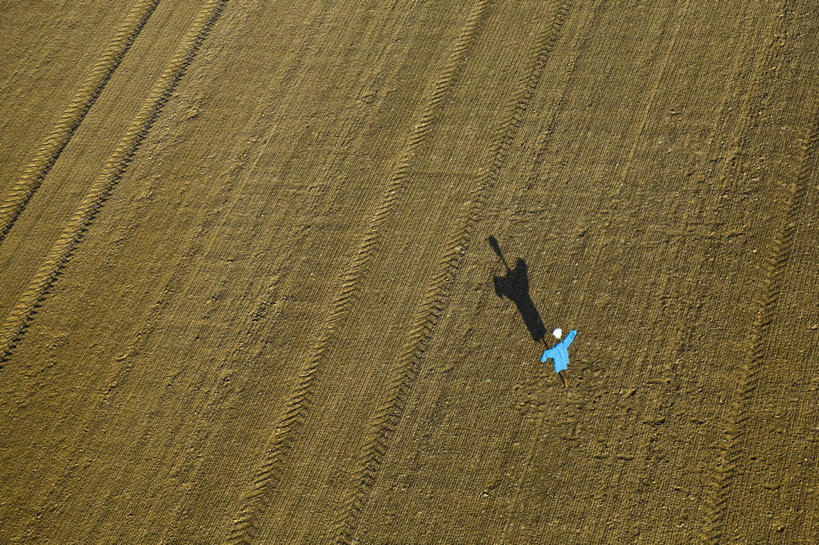 无人,农田,横图,俯视,航拍,室外,白天,旅游,度假,农业,庄稼,农作物,美景,法国,欧洲,阴影,光线,影子,稻田,景观,稻草,娱乐,稻草人,阳光,自然,享受,休闲,景色,放松,西欧,鸟瞰,法兰西,自然风光,法兰西共和国,法兰西第五共和国,偶人,上诺曼底,上诺曼底大区,彩图,高角度拍摄,耕地,庄稼田,厄尔省