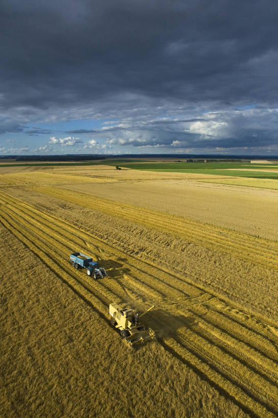 无人,农田,竖图,俯视,航拍,室外,白天,旅游,度假,农业,庄稼,农作物,小麦,美景,汽车,法国,欧洲,一辆,收成,阴影,光线,影子,景观,云,云朵,谷物,麦田,云彩,娱乐,车,蓝色,白云,蓝天,天空,阳光,自然,交通工具,天,享受,休闲,机械,景色,放松,麦子,收获,晴朗,西欧,鸟瞰,法兰西,自然风光,载具,拖拉机,法兰西共和国,法兰西第五共和国,交通运输,农用机械,劳绩,上诺曼底,上诺曼底大区,晴空,彩图,高角度拍摄,耕地,庄稼田,厄尔省,韦斯利