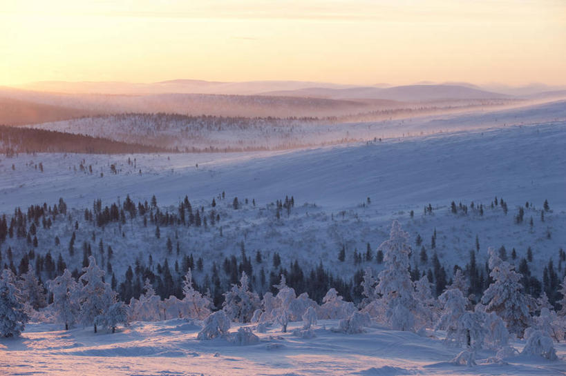 无人,横图,室外,白天,正面,旅游,度假,美景,日落,森林,树林,雪,植物,大雪,欧洲,芬兰,积雪,景观,晚霞,霞光,雪景,冬季,冬天,落日,娱乐,树,树木,绿色,自然,黄昏,享受,休闲,景色,彩霞,放松,寒冷,生长,成长,自然风光,北欧,严寒,拉普兰,拉普兰德,芬兰共和国,夕照,薄暮,拉普兰省,夕阳,彩图,傍晚,斜阳,拉普兰区