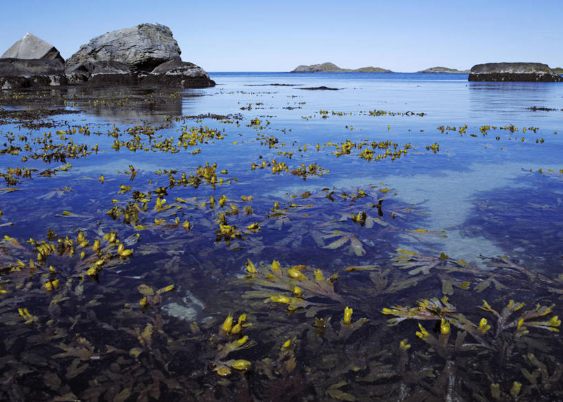 无人,横图,室外,白天,正面,旅游,度假,海浪,海洋,石头,美景,沙滩,挪威,欧洲,阴影,光线,沙子,石子,影子,海岸,景观,浪花,沙地,娱乐,蓝色,蓝天,天空,阳光,自然,海水,天,享受,休闲,海藻,景色,放松,晴朗,海草,斯堪的纳维亚,自然风光,北欧,斯堪的那维亚,斯堪的那维亚半岛,斯堪的纳维亚半岛,海景,万里无云,挪威王国,罗弗敦群岛,诺尔兰,诺尔兰郡,大海,风浪,海,海水的波动,海滩,近岸浪,石块,岩石,涌浪,晴空,晴空万里,彩图