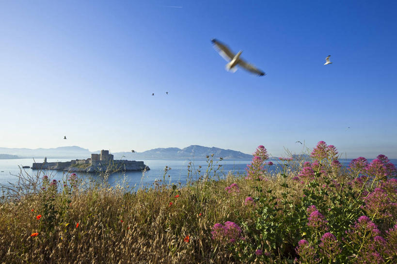 无人,横图,室外,白天,正面,旅游,度假,岛屿,名胜古迹,山,山脉,树林,植物,标志建筑,地标,建筑,鸟,法国,欧洲,飞翔,伸展,张开,展翅,阴影,遗迹,飞行,光线,翅膀,鸟类,影子,堡垒,城堡,岛,山峰,山峦,翱翔,古迹,文物,娱乐,建设,飞,古建筑,树,树木,蓝色,绿色,蓝天,天空,阳光,自然,群山,天,两只,享受,休闲,旅游胜地,放松,生长,晴朗,成长,西欧,要塞,法兰西,古文明,张开翅膀,万里无云,法兰西共和国,法兰西第五共和国,展开翅膀,普罗旺斯.阿尔卑斯.蓝色海岸,普罗旺斯.阿尔卑斯.蓝色海岸大区,设防,罗讷河口省,罗讷河口,列岛,群岛,诸岛,晴空,晴空万里,彩图,莱斯佩尼斯米拉波,伊夫堡,伊夫岛