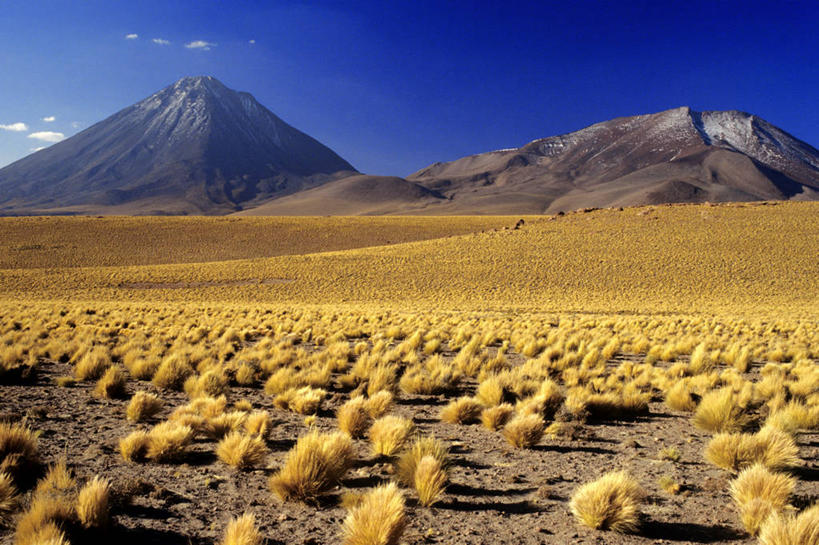 无人,横图,室外,白天,正面,旅游,度假,火山,石头,美景,植物,智利,一排,阴影,枯萎,整齐,并列,并排,光线,石子,影子,景观,云,云朵,枯草,云彩,娱乐,草,排列,黄色,蓝色,白云,蓝天,天空,阳光,自然,天,享受,休闲,景色,南美,放松,晴朗,南美洲,拉丁美洲,队列,自然风光,美洲,平行,亚美利加洲,南亚美利加洲,智利共和国,安第斯山脉,科迪勒拉山系,安托法加斯塔大区,褶皱山系,活火山,石块,晴空,彩图,洛阿省