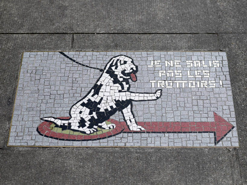 无人,坐,横图,俯视,室外,白天,道路,路,公路,宠物,狗,瑞士,欧洲,英文,标志,文字,字符,字母,交通,方向,标识,吐舌头,箭头,一只,动物,可爱,英文字母,指向,中欧,忠诚,簇,瑞士联邦,日内瓦,舌头,马路,犬,坐着,彩图,高角度拍摄,全身