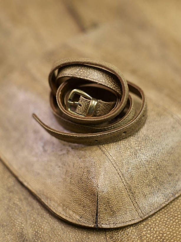 无人,竖图,俯视,室内,特写,白天,静物,一根,阴影,朦胧,模糊,环绕,缠绕,反射,影子,腰带,皮带,纠缠,配饰,裤带,彩图,高角度拍摄