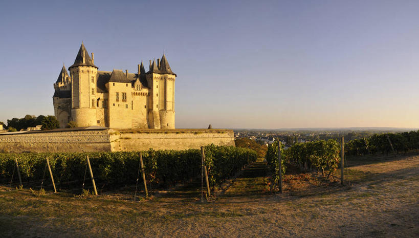 无人,家,果园,横图,室外,白天,正面,旅游,度假,名胜古迹,田园,标志建筑,地标,建筑,法国,欧洲,阴影,遗迹,光线,影子,堡垒,城堡,房屋,屋子,古迹,文物,娱乐,建设,古建筑,楼房,葡萄园,架子,住宅,蓝色,蓝天,天空,阳光,庄园,天,享受,休闲,旅游胜地,放松,晴朗,支撑,固定,西欧,要塞,法兰西,葡萄架,古文明,万里无云,法兰西共和国,卢瓦尔河地区,法兰西第五共和国,卢瓦尔,卢瓦尔大区,卢瓦尔河大区,设防,索米尔,曼恩.卢瓦尔省,晴空,晴空万里,彩图,房子