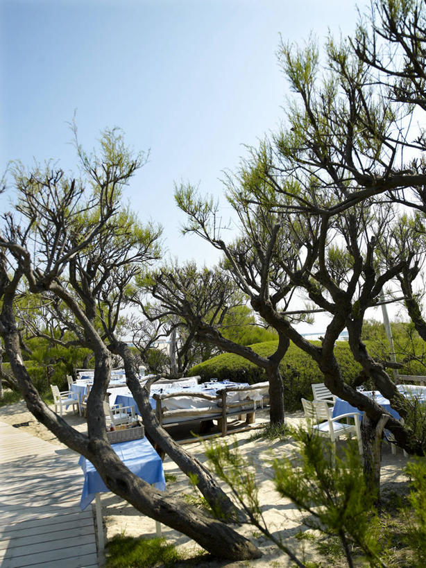 无人,竖图,室外,白天,正面,度假,河流,美景,水,城市风光,城市,道路,路,法国,欧洲,阴影,光线,影子,河水,景观,水流,小路,交通,娱乐,蓝色,蓝天,天空,阳光,天,享受,休闲,景色,放松,晴朗,西欧,法兰西,咖啡店,咖啡屋,瓦尔省,万里无云,法兰西共和国,法兰西第五共和国,普罗旺斯.阿尔卑斯.蓝色海岸,普罗旺斯.阿尔卑斯.蓝色海岸大区,瓦尔,圣特罗佩,晴空,晴空万里,彩图,咖啡馆