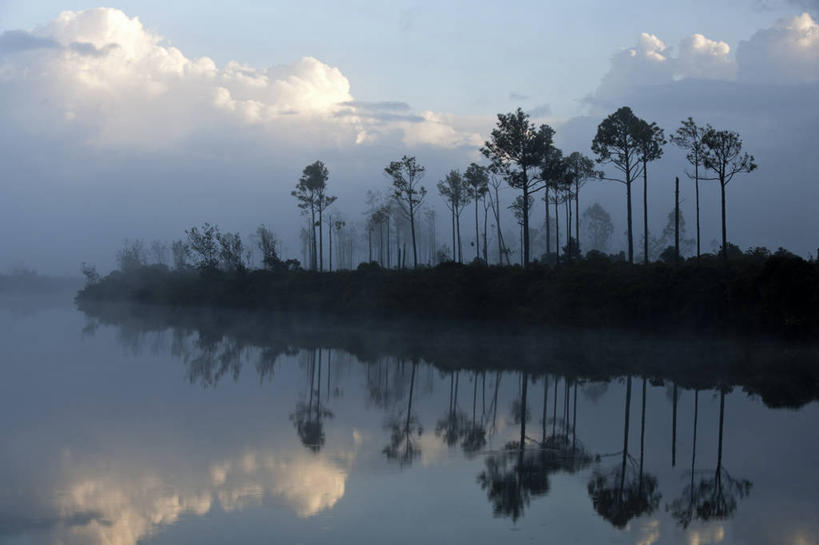 无人,横图,室外,白天,正面,旅游,度假,海浪,海洋,美景,植物,雾,棕榈树,叶子,法国,欧洲,阴影,朦胧,模糊,光线,影子,景观,浪花,云,云朵,绿叶,云彩,娱乐,树,树木,蓝色,绿色,白云,倒影,蓝天,天空,阳光,自然,海水,天,享受,休闲,嫩叶,景色,放松,生长,晴朗,成长,迷雾,倒映,西印度群岛,西欧,法兰西,自然风光,海景,棕榈叶,法兰西共和国,法兰西第五共和国,加勒比群岛,小安的列斯群岛,反照,安的列斯群岛,瓜德罗普,瓜德罗普岛,叶,叶片,大海,风浪,海,海水的波动,近岸浪,涌浪,大雾,晴空,棕树,棕榈,彩图,格朗德特尔岛,瓜地洛普