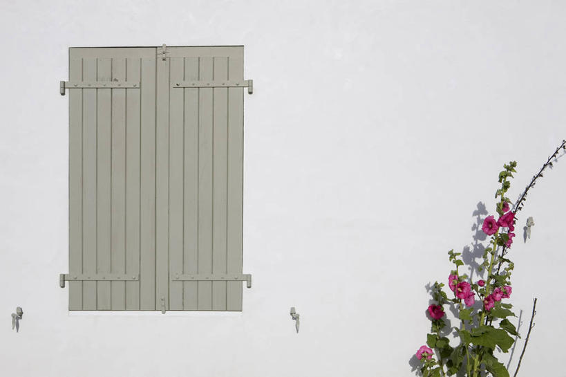 无人,家,横图,室外,白天,正面,旅游,度假,美景,窗户,叶子,法国,欧洲,盛开,百叶窗,房屋,墙,屋子,景观,绿叶,花蕾,娱乐,楼房,墙壁,墙面,住宅,花,花瓣,花朵,鲜花,自然,花苞,花蕊,享受,休闲,嫩叶,景色,放松,西欧,法兰西,自然风光,法兰西共和国,法兰西第五共和国,普瓦图.夏朗德,普瓦图.夏朗德大区,滨海夏朗德省,叶,叶片,彩图,房子,雷地区勒布瓦斯.普拉格