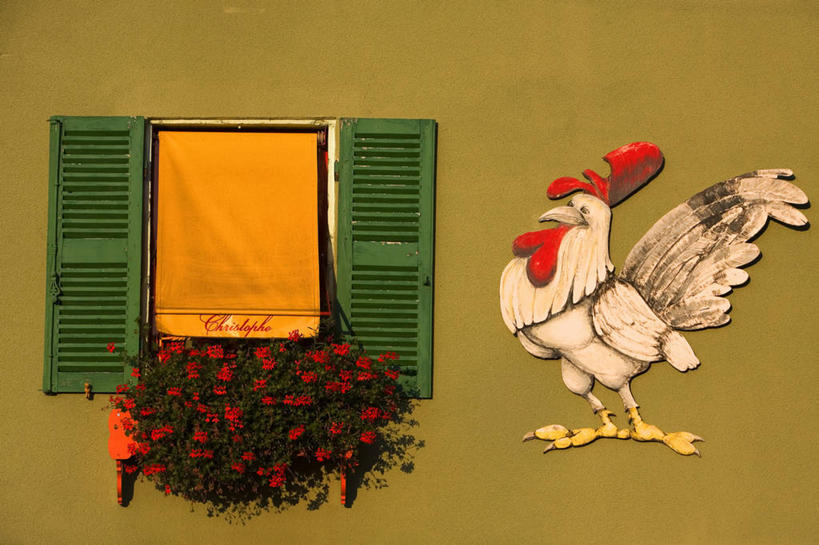 无人,餐厅,站,横图,室外,特写,白天,正面,窗户,鸡,法国,欧洲,阴影,盛开,光线,影子,墙,花蕾,家禽,玻璃窗,墙壁,墙面,花,花瓣,花朵,鲜花,一只,红色,阳光,动物,车窗,花苞,花蕊,站着,牲畜,勃艮第,西欧,法兰西,法兰西共和国,法兰西第五共和国,勃艮第大区,索恩.卢瓦尔省,站立,彩图,全身,餐馆,饭店,饭馆