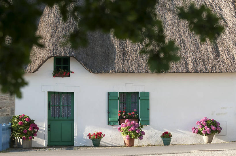 无人,家,横图,室外,白天,正面,旅游,度假,美景,植物,别墅,窗户,门,法国,欧洲,阴影,盛开,光线,盆栽,影子,房屋,墙,屋子,景观,公寓,枝条,盆景,花蕾,娱乐,洋房,楼房,玻璃窗,墙壁,墙面,住宅,花,花瓣,花朵,鲜花,树,树木,树枝,绿色,阳光,自然,门框,花苞,花蕊,享受,休闲,景色,放松,生长,成长,西欧,法兰西,自然风光,法兰西共和国,卢瓦尔河地区,法兰西第五共和国,虬枝,枝杈,卢瓦尔,卢瓦尔大区,卢瓦尔河大区,彩图,房子,大西洋岸卢瓦尔省,大西洋卢瓦尔省,圣纳泽尔区,圣利法尔