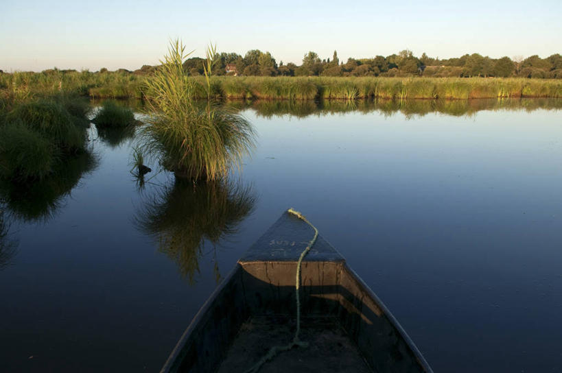 无人,横图,室外,白天,正面,旅游,度假,草地,草坪,河流,美景,水,植物,船,法国,欧洲,阴影,波纹,光线,影子,河水,景观,水流,木船,涟漪,娱乐,草,树,树木,蓝色,绿色,倒影,蓝天,水纹,天空,阳光,自然,交通工具,波浪,天,享受,休闲,景色,放松,生长,晴朗,成长,沼泽,倒映,舟,西欧,法兰西,自然风光,载具,万里无云,法兰西共和国,卢瓦尔河地区,水晕,法兰西第五共和国,反照,卢瓦尔,卢瓦尔大区,卢瓦尔河大区,晴空,晴空万里,彩图,大西洋岸卢瓦尔省,大西洋卢瓦尔省,圣纳泽尔区,圣利法尔