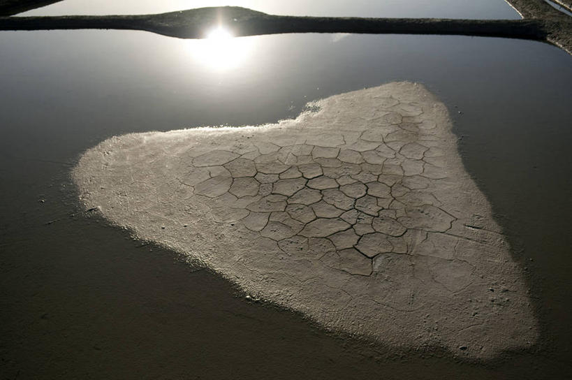 无人,横图,室外,白天,正面,旅游,度假,荒凉,美景,法国,欧洲,阴影,光线,纹路,纹理,影子,景观,娱乐,阳光,自然,享受,休闲,景色,放松,沼泽,西欧,法兰西,自然风光,法兰西共和国,肌理,卢瓦尔河地区,法兰西第五共和国,盐滩,卢瓦尔,卢瓦尔大区,卢瓦尔河大区,荒地,荒芜,彩图,大西洋岸卢瓦尔省,大西洋卢瓦尔省,盖朗德,杰宏德