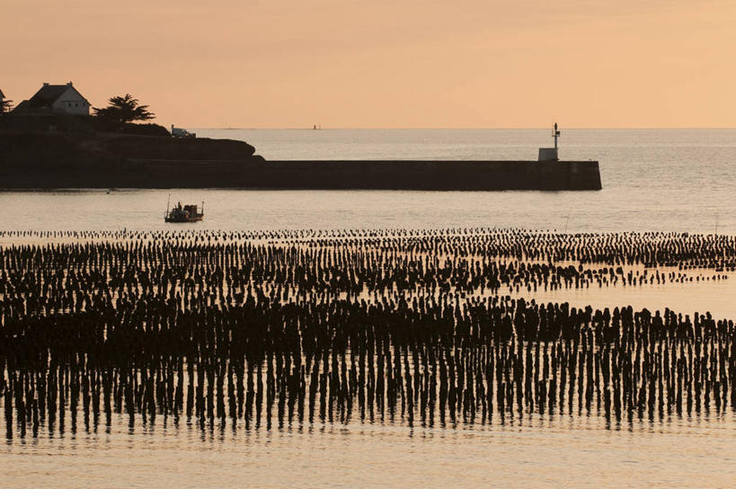 无人,码头,横图,室外,白天,正面,旅游,度假,灌溉,海浪,海洋,美景,日落,沙滩,植物,港口,建筑,法国,欧洲,蓄水,沙子,海岸,景观,浪花,晚霞,霞光,落日,沙地,背光,娱乐,建设,水坝,水库,树,树木,绿色,自然,海水,黄昏,享受,休闲,发电,景色,彩霞,放松,生长,成长,西欧,法兰西,自然风光,逆光,海景,坝,航运,法兰西共和国,卢瓦尔河地区,法兰西第五共和国,防洪,供水,水力发电,夕照,薄暮,卢瓦尔,卢瓦尔大区,卢瓦尔河大区,大海,风浪,海,海水的波动,海滩,近岸浪,涌浪,夕阳,彩图,傍晚,摆渡口,埠头,渡口,渡头,港湾,海港,货运码头,口岸,商港,大西洋岸卢瓦尔省,大西洋卢瓦尔省,斜阳