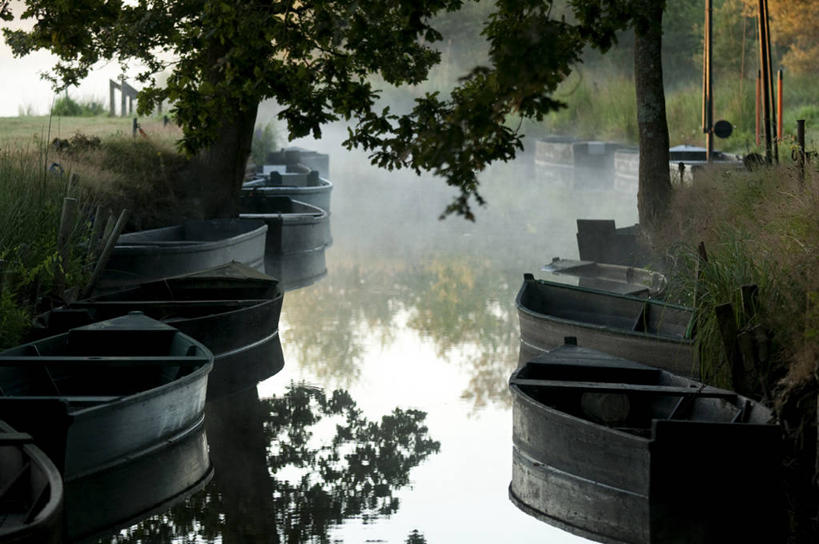 无人,横图,室外,白天,正面,旅游,度假,草地,草坪,河流,美景,水,植物,雾,船,法国,欧洲,停靠,波纹,朦胧,模糊,河水,景观,水流,木船,涟漪,娱乐,草,树,树木,绿色,倒影,水纹,自然,交通工具,波浪,享受,休闲,景色,放松,生长,成长,迷雾,倒映,舟,西欧,停泊,法兰西,自然风光,载具,法兰西共和国,卢瓦尔河地区,水晕,法兰西第五共和国,反照,卢瓦尔,卢瓦尔大区,卢瓦尔河大区,大雾,彩图,大西洋岸卢瓦尔省,大西洋卢瓦尔省,圣纳泽尔区,圣利法尔