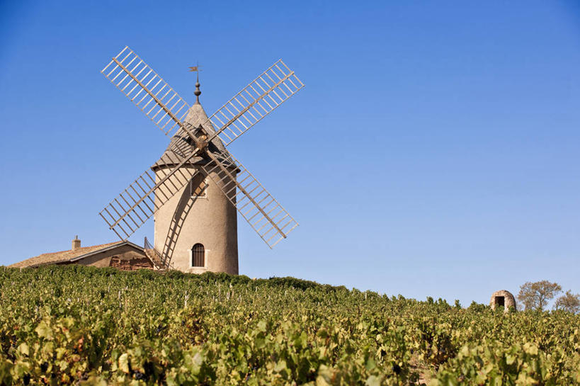 无人,果园,横图,室外,白天,仰视,旅游,度假,灌溉,美景,田园,植物,风车,法国,欧洲,阴影,环保,光线,影子,景观,娱乐,葡萄园,树,树木,蓝色,绿色,蓝天,天空,阳光,自然,庄园,天,享受,休闲,景色,放松,生长,能源,晴朗,成长,回收,资源,浇灌,荷兰风车,西欧,法兰西,自然风光,利用,低碳,循环,万里无云,法兰西共和国,磨坊,法兰西第五共和国,持续,罗讷省,晴空,晴空万里,彩图,低角度拍摄,罗讷.阿尔卑斯,罗讷.阿尔卑斯大区