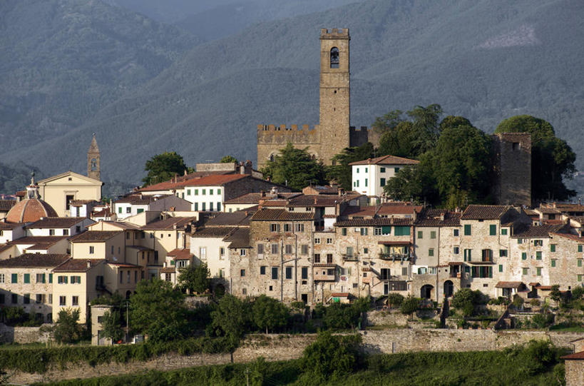 无人,家,横图,室外,白天,正面,旅游,度假,草地,草坪,名胜古迹,山,山脉,植物,标志建筑,地标,建筑,意大利,欧洲,阴影,遗迹,光线,影子,堡垒,城堡,房屋,屋子,山峰,山峦,古迹,文物,娱乐,建设,古建筑,楼房,住宅,草,树,树木,绿色,阳光,自然,群山,享受,休闲,旅游胜地,放松,生长,成长,托斯卡纳,要塞,南欧,古文明,意大利共和国,托斯卡纳大区,设防,彩图,房子,阿雷佐省,波皮