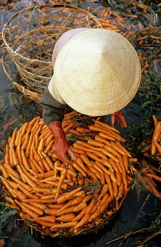 东方人,一个人,坐,交叉,竖图,俯视,室外,白天,竹子,萝卜,胡萝卜,蔬菜,帽子,亚洲,仅一个女性,仅一个人,许多,握,竹制,服装,新鲜,编织,篮子,食品,很多,拿,拿着,黄种人,斗笠,食物,衣服,竹篮,仅一个中年女性,橙色,遮阳,握着,服饰,有机食品,绿色食品,竹条,交织,竹制品,衣着,穿着,黄萝卜,番萝卜,荡涤,洗濯,衣饰,穿插,笠帽,女人,女性,中年女性,亚洲人,红萝卜,甘荀,清洗,坐着,彩图,高角度拍摄,全身,丁香萝卜,胡芦菔金,金笋,编结帽,箬笠,蔽雨