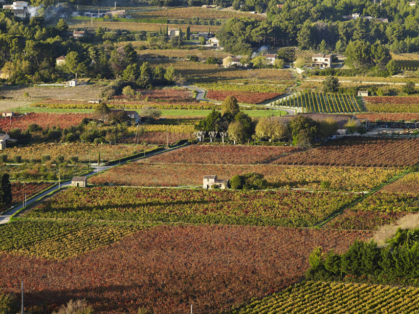 无人,家,果园,横图,俯视,室外,白天,旅游,度假,美景,山,山脉,树林,田园,植物,法国,欧洲,阴影,光线,影子,房屋,屋子,景观,山峰,山峦,娱乐,楼房,葡萄园,架子,住宅,树,树木,绿色,阳光,自然,庄园,群山,享受,休闲,景色,放松,生长,成长,支撑,固定,西欧,法兰西,自然风光,葡萄架,瓦尔省,法兰西共和国,法兰西第五共和国,普罗旺斯.阿尔卑斯.蓝色海岸,普罗旺斯.阿尔卑斯.蓝色海岸大区,彩图,高角度拍摄,房子,土伦区,拉卡迪埃达聚,邦多