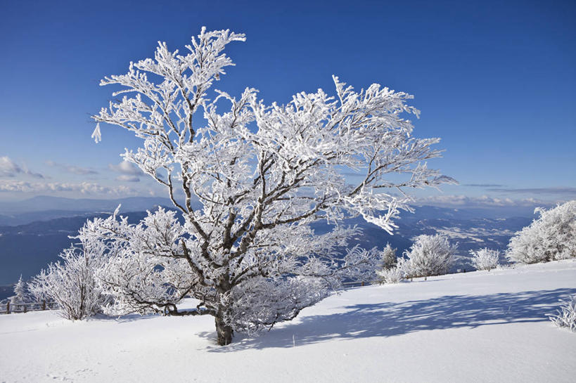 无人,横图,室外,白天,正面,旅游,度假,美景,山,雪,雪山,植物,大雪,法国,欧洲,阴影,光线,影子,冰,积雪,景观,山峰,雪景,冬季,冬天,山峦,娱乐,树,树木,蓝色,绿色,蓝天,天空,阳光,自然,天,享受,休闲,景色,放松,寒冷,生长,晴朗,成长,冰冷,西欧,法兰西,自然风光,万里无云,法兰西共和国,法兰西第五共和国,严寒,冰凉,酷寒,凛冽,凛凛,极冷,萨瓦省,晴空,晴空万里,彩图,罗讷.阿尔卑斯,罗讷.阿尔卑斯大区