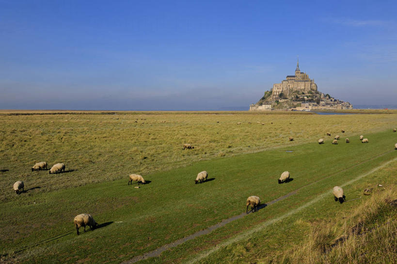 无人,农场,教堂,站,吃,横图,室外,白天,正面,旅游,度假,畜牧业,牧场,美景,羊,法国,欧洲,许多,阴影,节日,光线,影子,景观,云,云朵,很多,云彩,注视,文化,娱乐,排列,蓝色,白云,蓝天,天空,阳光,自然,动物,天,低头,观察,看,祈祷,站着,享受,休闲,健康,家畜,景色,放松,许愿,宗教,牲畜,信仰,晴朗,观看,纪念,祈求,察看,西欧,关注,法兰西,自然风光,信念,畜牧,法兰西共和国,牧业,法兰西第五共和国,圣米歇尔山,垂头,摆列,下诺曼底,下诺曼底大区,芒什省,平安,晴空,绵羊,嚼,食,站立,彩图,大教堂,礼拜堂,布列,分列,圣米歇尔山修道院