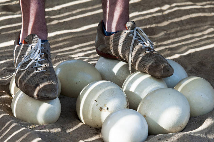 西方人,腿部,腿,一个人,站,横图,俯视,室外,特写,白天,欧洲,非洲,黑人,欧洲人,仅一个男性,仅一个人,一排,许多,阴影,整齐,并列,并排,光线,影子,泥土,土壤,蛋,很多,排列,仅一个年轻男性,阳光,站着,队列,平行,鸵鸟蛋,卵,男人,男性,年轻男性,非洲人,站立,半身,彩图,高角度拍摄