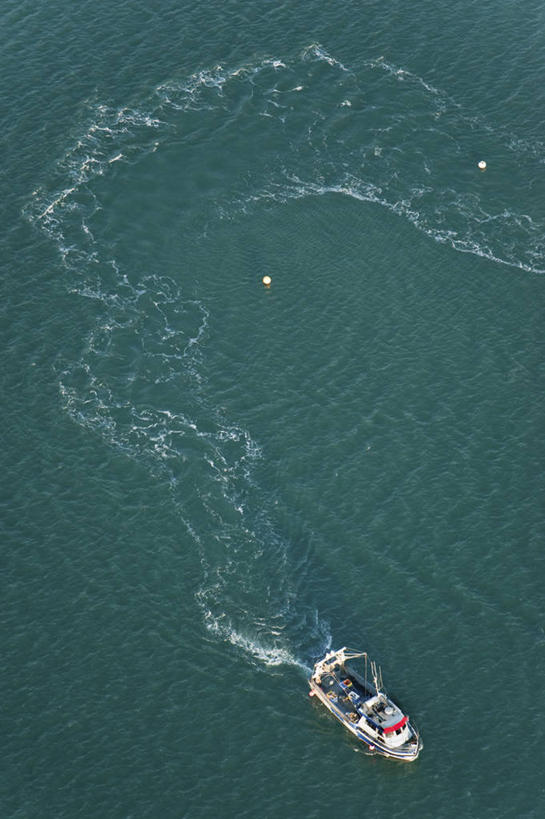 无人,竖图,俯视,航拍,室外,白天,旅游,度假,海浪,海洋,美景,轮船,船,法国,欧洲,一艘,阴影,波纹,飞溅,溅,光线,液体,影子,景观,浪花,水滴,娱乐,水珠,绿色,水纹,阳光,自然,海水,船尾波,交通工具,波浪,享受,休闲,景色,放松,布列塔尼,西欧,鸟瞰,喷洒,法兰西,自然风光,载具,海景,法兰西共和国,法兰西第五共和国,布列塔尼地区,莫尔比昂省,大海,风浪,海,海水的波动,近岸浪,涌浪,彩图,高角度拍摄,瓦讷区,伊尔奥穆瓦内