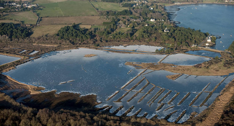 无人,家,横图,俯视,航拍,室外,白天,旅游,度假,草地,草坪,海浪,海洋,美景,沙滩,植物,法国,欧洲,阴影,光线,沙子,影子,房屋,屋顶,屋子,海岸,景观,浪花,褐色,沙地,顶棚,娱乐,楼房,住宅,草,树,树木,绿色,阳光,自然,海水,享受,休闲,景色,放松,生长,成长,布列塔尼,西欧,鸟瞰,法兰西,自然风光,海景,法兰西共和国,法兰西第五共和国,布列塔尼地区,莫尔比昂省,大海,风浪,海,海水的波动,海滩,近岸浪,涌浪,彩图,高角度拍摄,房子,瓦讷区,拉尔莫巴当