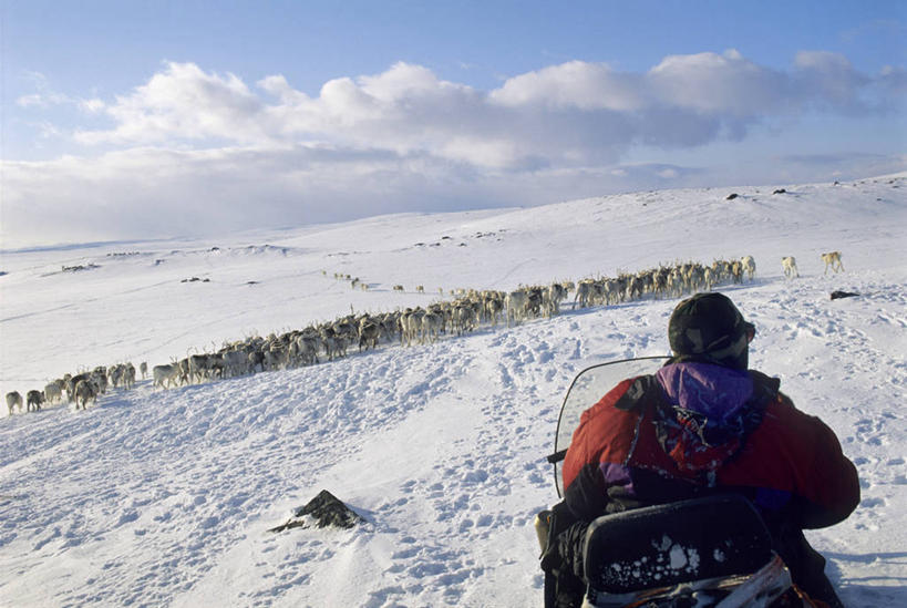 西方人,一个人,坐,横图,室外,白天,旅游,度假,美景,雪,大雪,帽子,挪威,欧洲,欧洲人,仅一个男性,仅一个人,行人,游客,游人,阴影,服装,光线,影子,积雪,景观,雪景,云,云朵,冬季,冬天,云彩,注视,娱乐,路人,旅客,车,仅一个年轻男性,一个,背面,衣服,蓝色,白云,蓝天,天空,阳光,自然,交通工具,天,观察,看,享受,休闲,温暖,景色,放松,寒冷,服饰,晴朗,单个,观看,保暖,雪橇,察看,御寒,斯堪的纳维亚,关注,自然风光,载具,北欧,斯堪的那维亚,斯堪的那维亚半岛,斯堪的纳维亚半岛,雪橇车,滑雪服,棉帽,严寒,挪威王国,过客,芬马克,芬马克郡,竞技服,旅游服,冬装,男人,男性,年轻男性,白种人,晴空,坐着,半身,彩图