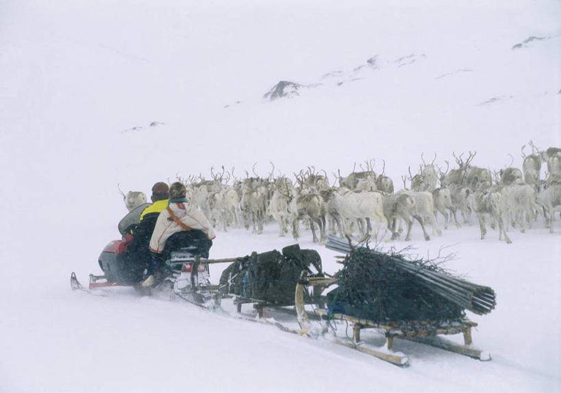 西方人,两个人,站,坐,横图,室外,白天,侧面,旅游,度假,幸福,美景,雪,大雪,哺乳动物,鹿,野生动物,帽子,挪威,欧洲,欧洲人,许多,行人,游客,游人,阴影,服装,光线,影子,积雪,景观,雪景,冬季,冬天,很多,注视,娱乐,路人,旅客,车,衣服,阳光,自然,动物,交通工具,观察,看,站着,享受,休闲,温暖,景色,放松,寒冷,可爱,服饰,活泼,观看,保暖,雪橇,吉祥,察看,御寒,斯堪的纳维亚,关注,自然风光,载具,北欧,斯堪的那维亚,斯堪的那维亚半岛,斯堪的纳维亚半岛,雪橇车,滑雪服,进取,角鹿,棉帽,严寒,挪威王国,过客,芬马克,芬马克郡,竞技服,旅游服,冬装,男人,男性,年轻男性,白种人,驯鹿,站立,坐着,彩图,全身
