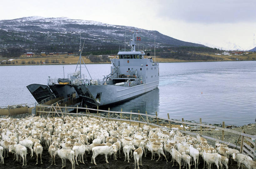无人,栏杆,站,横图,俯视,室外,白天,旅游,度假,幸福,河流,美景,山,山脉,水,船,哺乳动物,鹿,野生动物,挪威,欧洲,一艘,许多,波纹,飞溅,溅,液体,河水,景观,山峰,水滴,水流,乌云,云,阴天,云朵,围栏,山峦,很多,云彩,娱乐,护栏,水珠,水纹,天空,自然,动物,船尾波,交通工具,波浪,群山,天,站着,享受,休闲,景色,放松,可爱,活泼,吉祥,昏暗,阴沉,斯堪的纳维亚,喷洒,自然风光,载具,北欧,斯堪的那维亚,斯堪的那维亚半岛,斯堪的纳维亚半岛,货船,进取,角鹿,挪威王国,芬马克,芬马克郡,驯鹿,站立,半身,彩图,高角度拍摄,商船